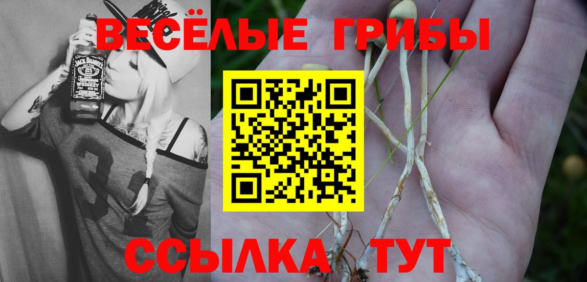 Галлюциногенные грибы ЛСД Курчатов