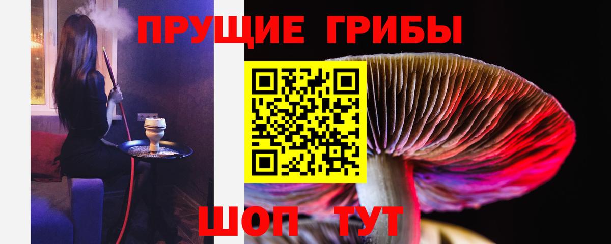 Галлюциногенные грибы прущие грибы  Вход с VPN  Курчатов 